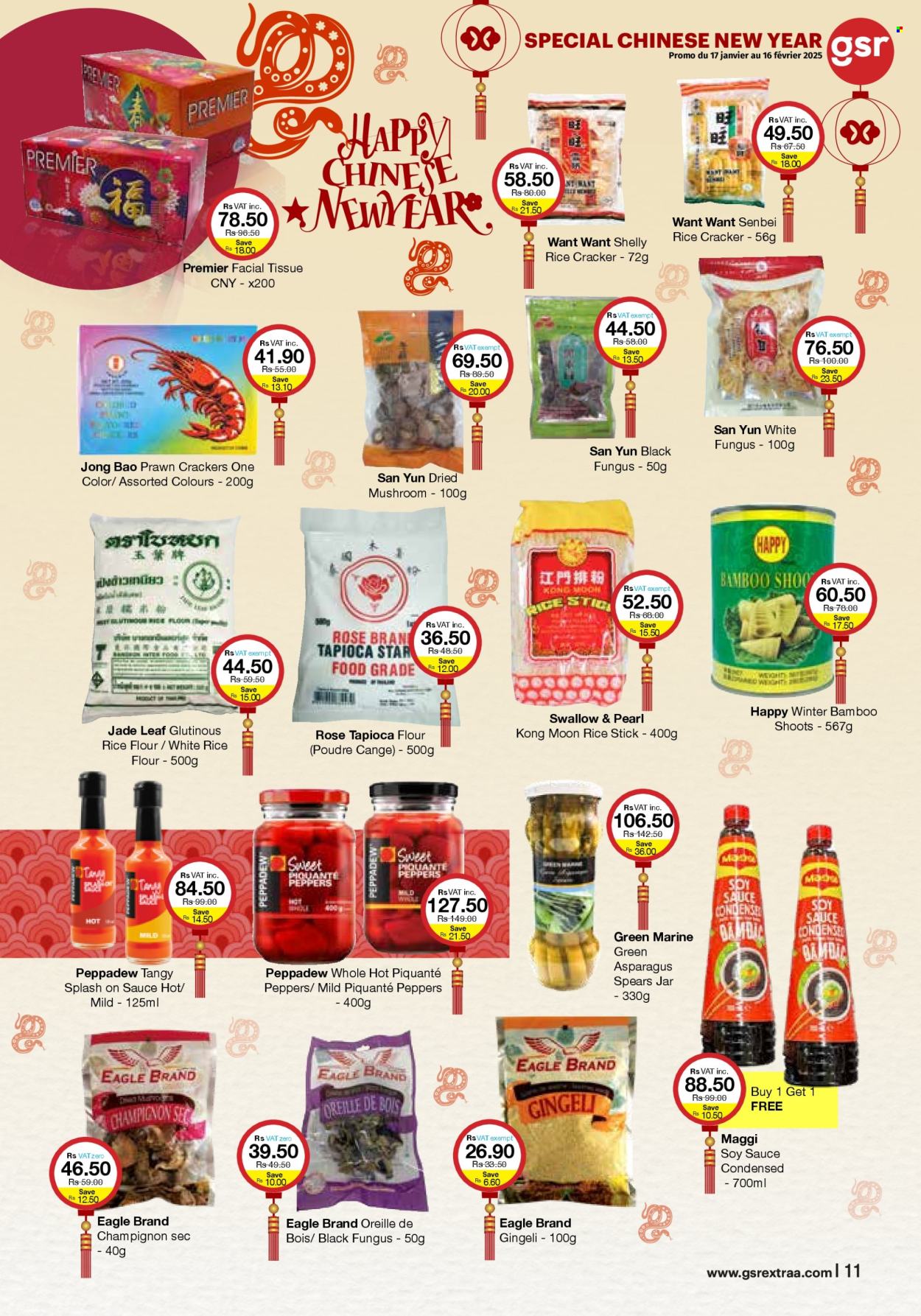 GSR catalogue - 17.01.2025 - 16.02.2025. Page 11