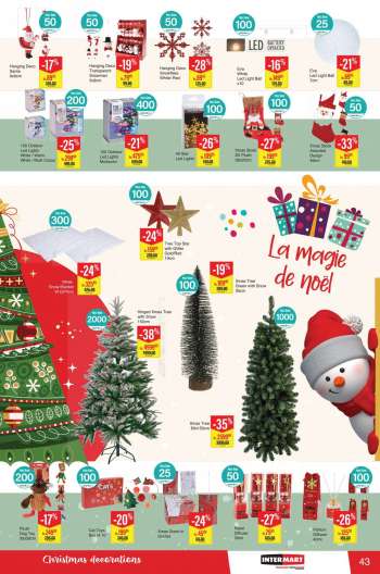 {store} catalogue