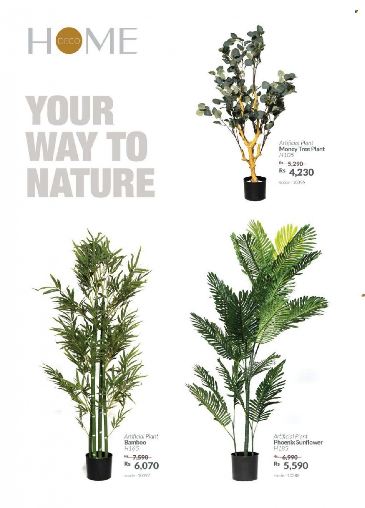 Teak World catalogue. Page 8