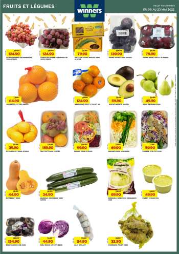 {store} catalogue