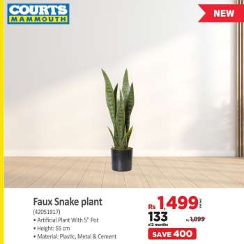 Courts Mammouth Catalogue.