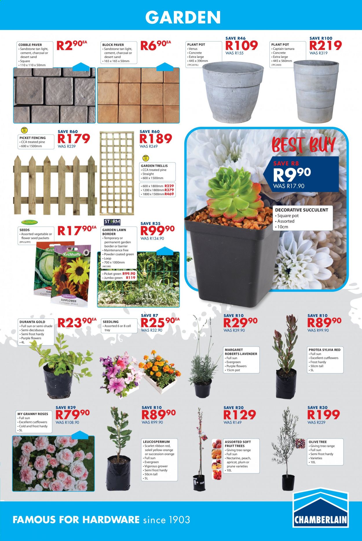 Chamberlain specials - 13/08/2021 - 19/09/2021. Page 7