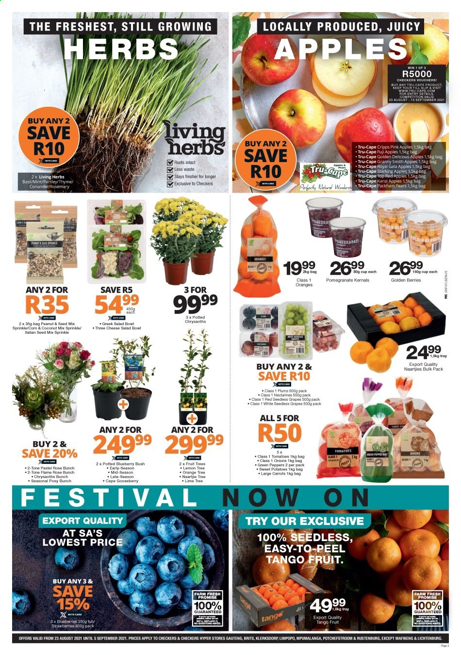 Checkers specials - 23/08/2021 - 05/09/2021. Page 3