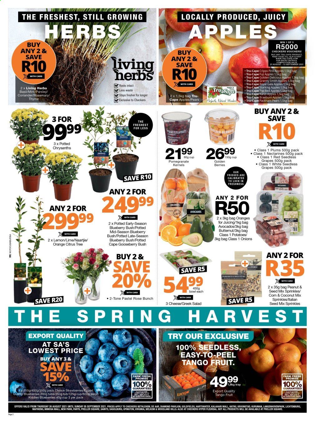 Checkers specials - 26/08/2021 - 05/09/2021. Page 2