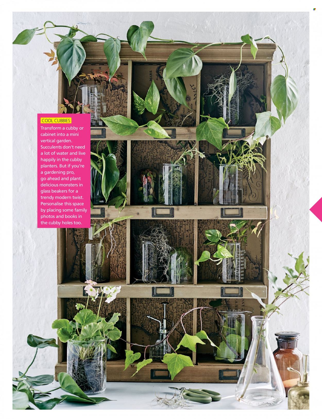 Pick n Pay specials. Page 33