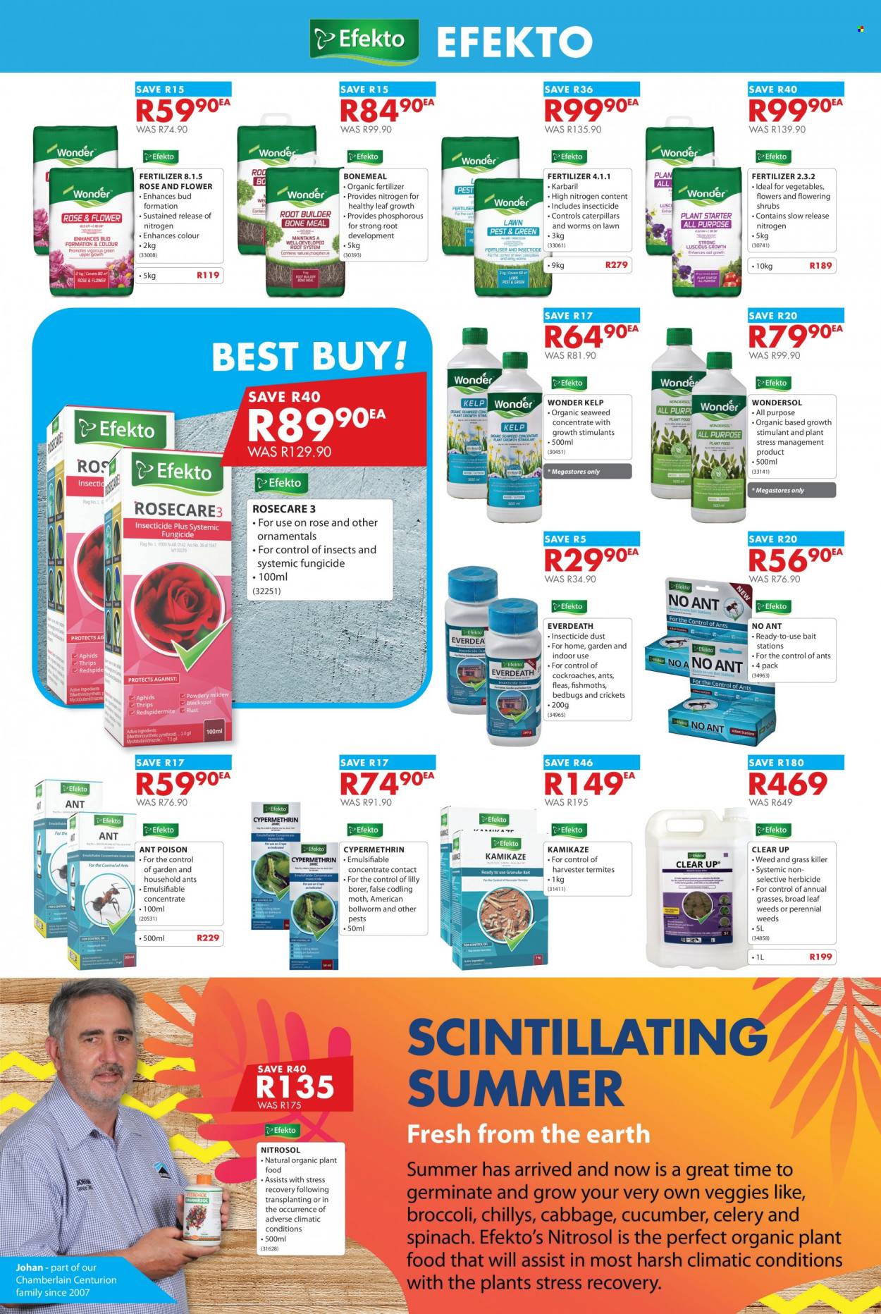 Chamberlain specials - 18/10/2021 - 14/11/2021. Page 4