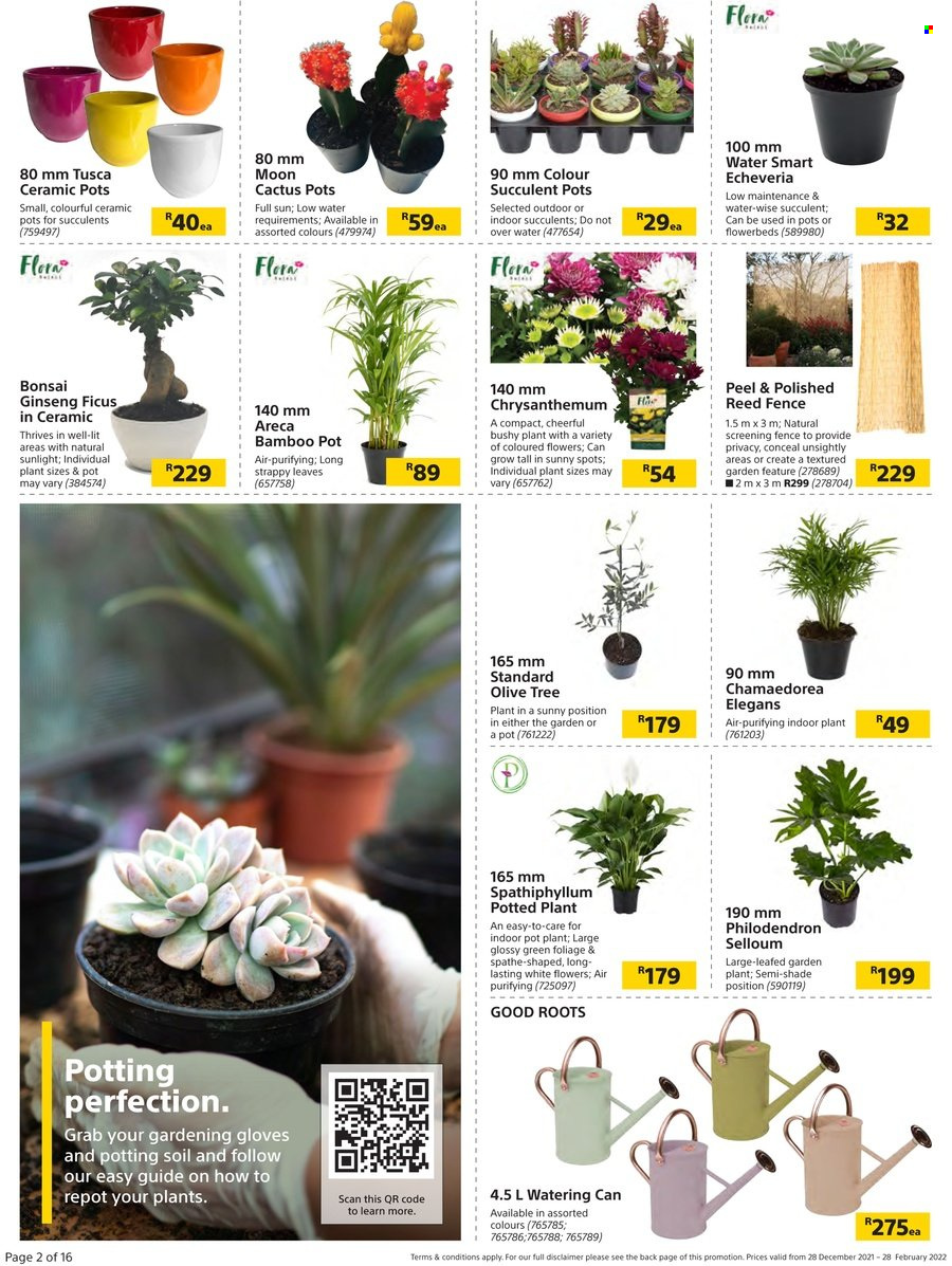 Builders specials - 28/12/2021 - 28/02/2022. Page 2