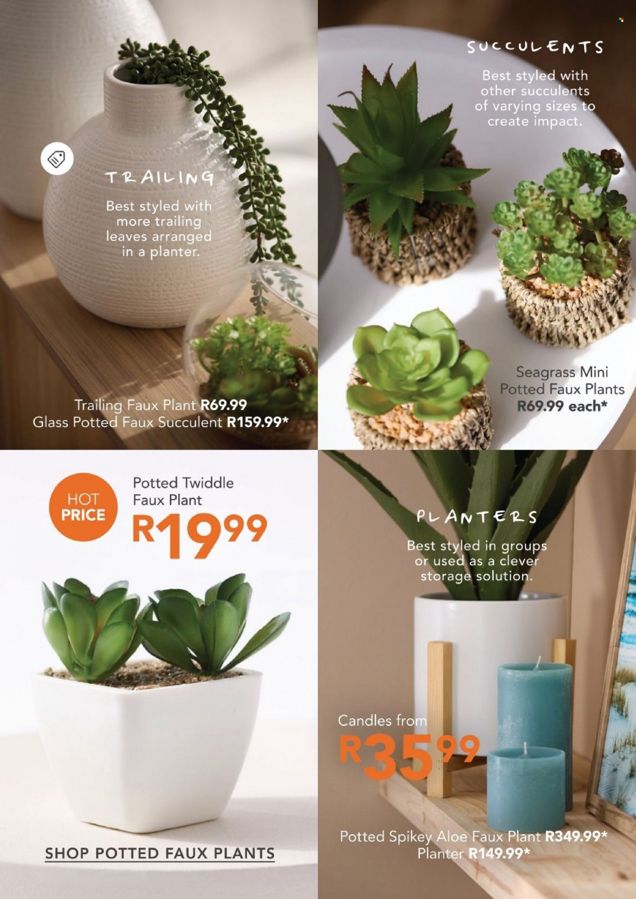 Sheet Street specials. Page 33