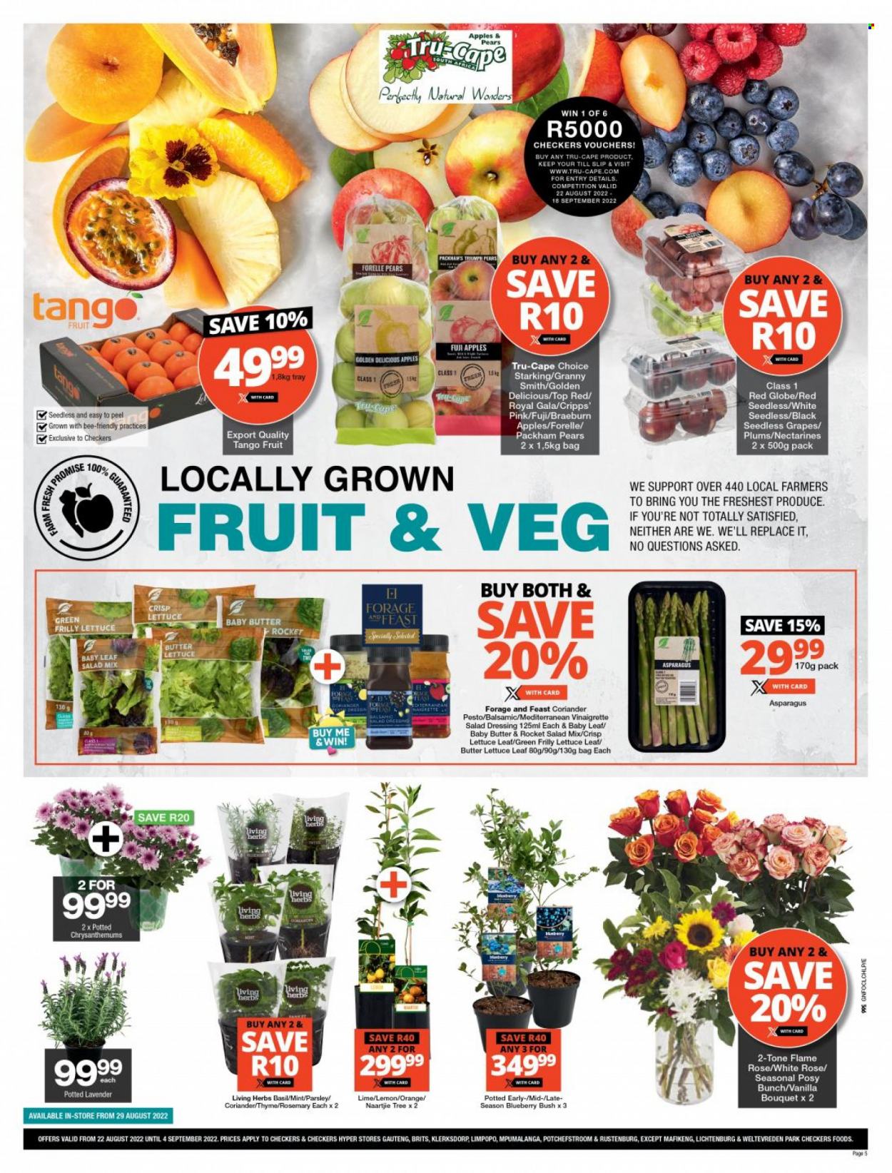 Checkers specials - 22/08/2022 - 04/09/2022. Page 5