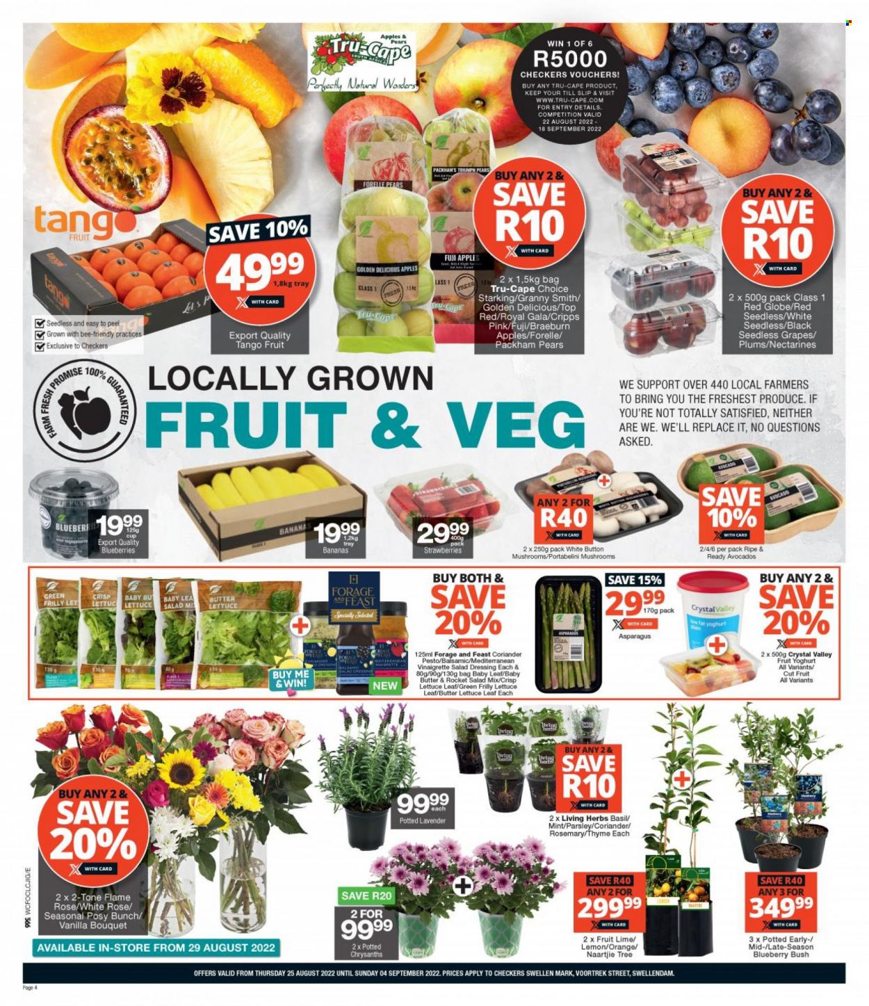 Checkers specials - 25/08/2022 - 04/09/2022. Page 4