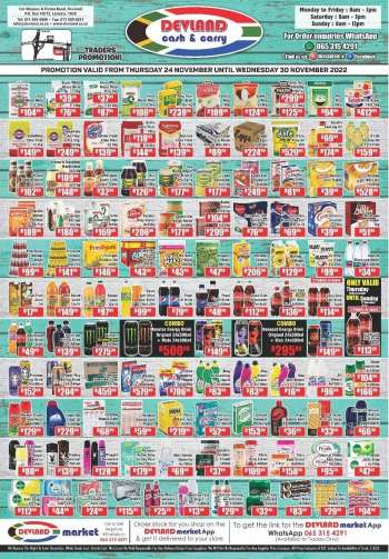 Devland catalogue  - 24/11/2022 - 30/11/2022.