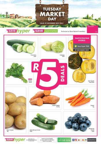 Save catalogue  - 29/11/2022 - 29/11/2022.