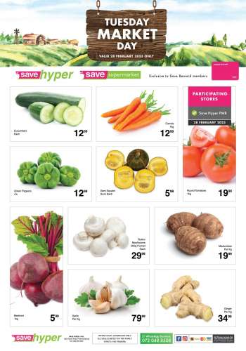 Save catalogue  - 28/02/2023 - 28/02/2023.