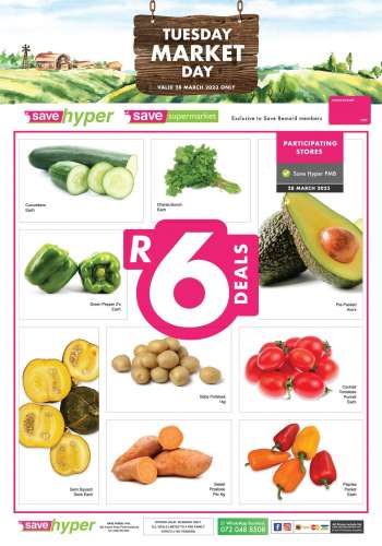 Save catalogue  - 28/03/2023 - 28/03/2023.