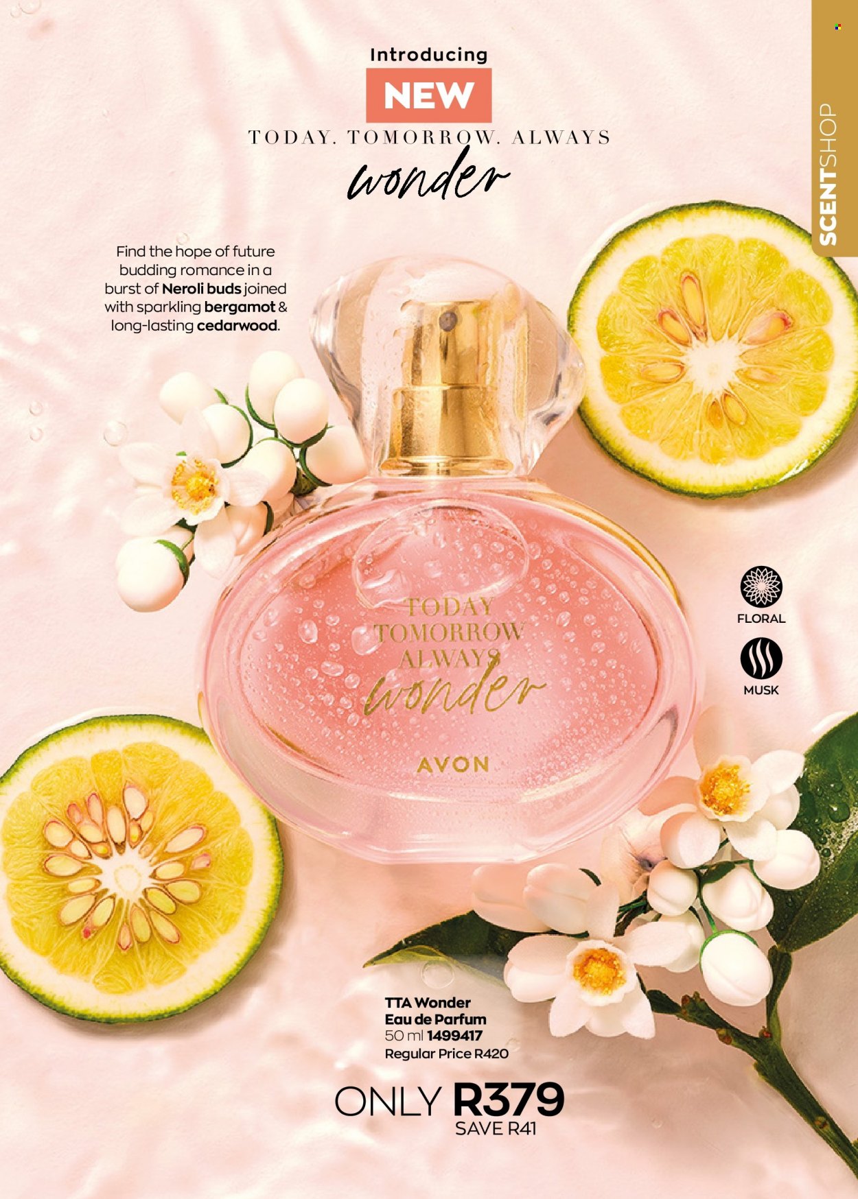 Avon specials - 01/07/2023 - 31/07/2023. Page 21