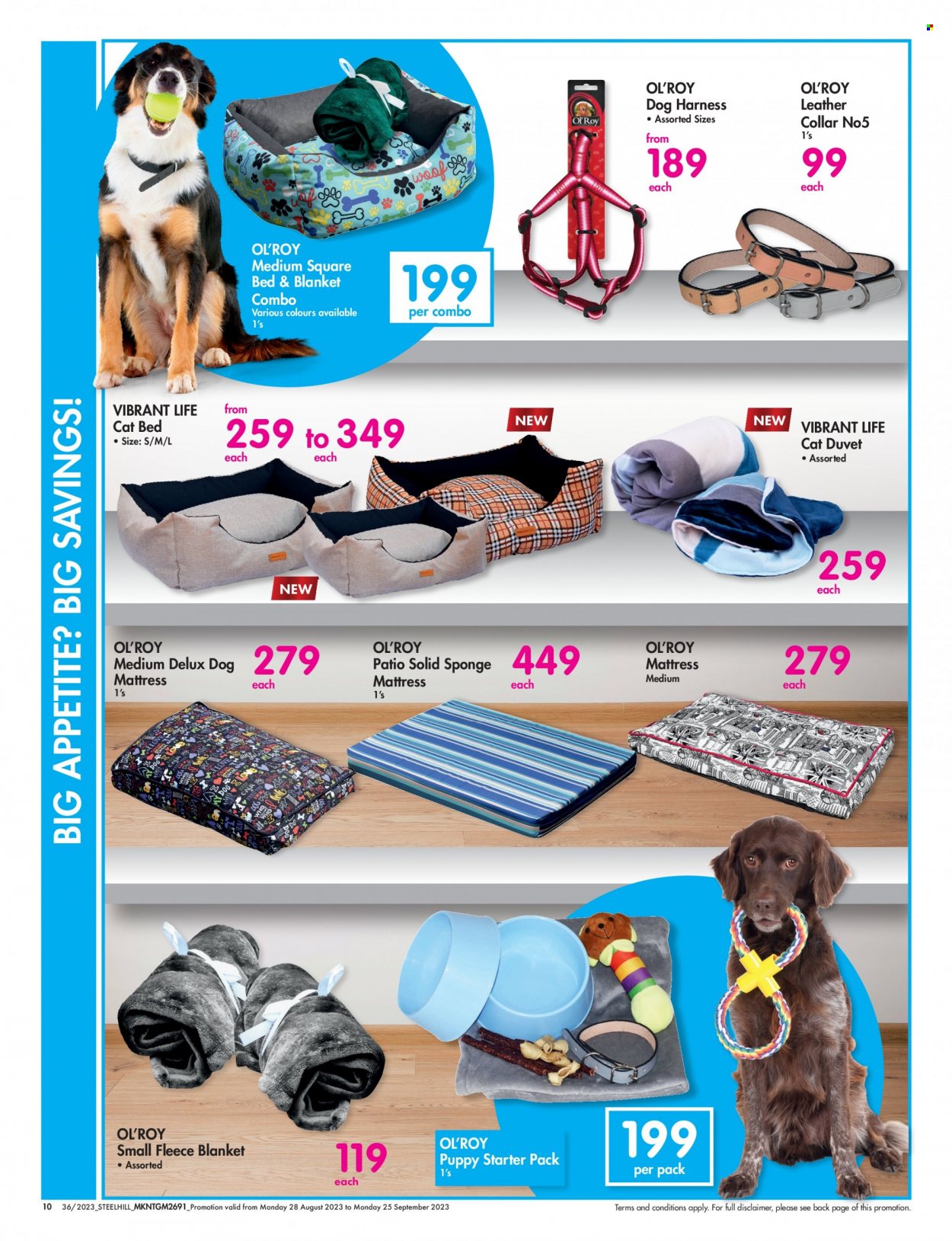 Makro specials - 28/08/2023 - 25/09/2023. Page 10