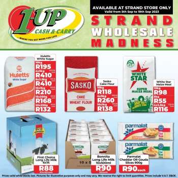 1UP Cash & Carry catalogue  - 05/09/2023 - 19/09/2023.