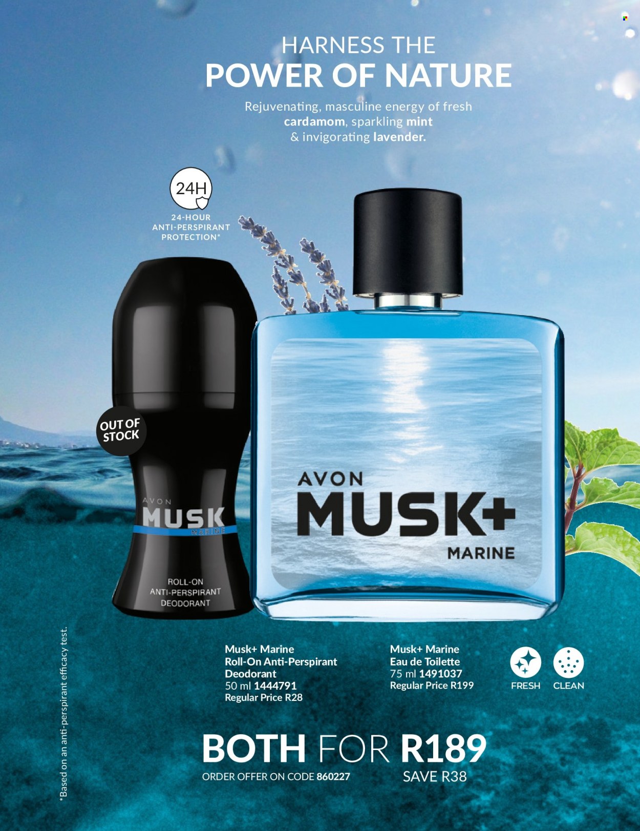 Avon specials - 01/01/2024 - 31/01/2024. Page 95