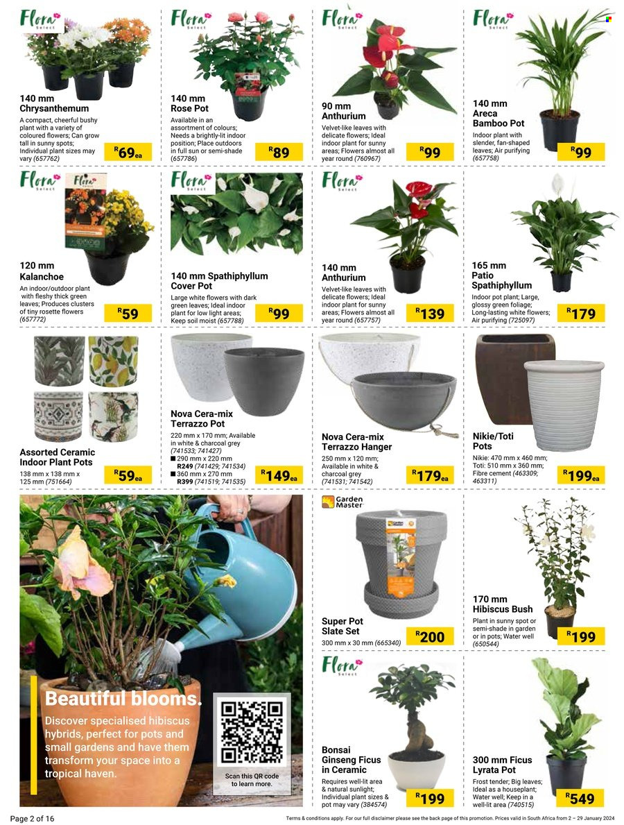 Builders specials - 02/01/2024 - 29/01/2024. Page 2