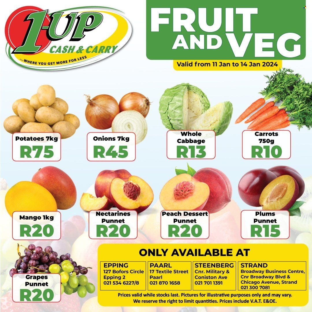 1UP Cash & Carry specials - 11/01/2024 - 14/01/2024. Page 1