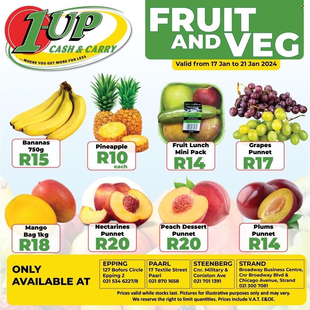 1UP Cash & Carry specials - 17/01/2024 - 21/01/2024. Page 1