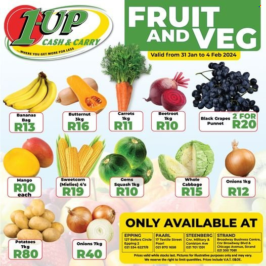 1UP Cash & Carry specials - 31/01/2024 - 04/02/2024. Page 1