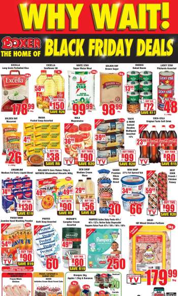 Boxer catalogue  - 20/06/2024 - 23/06/2024.