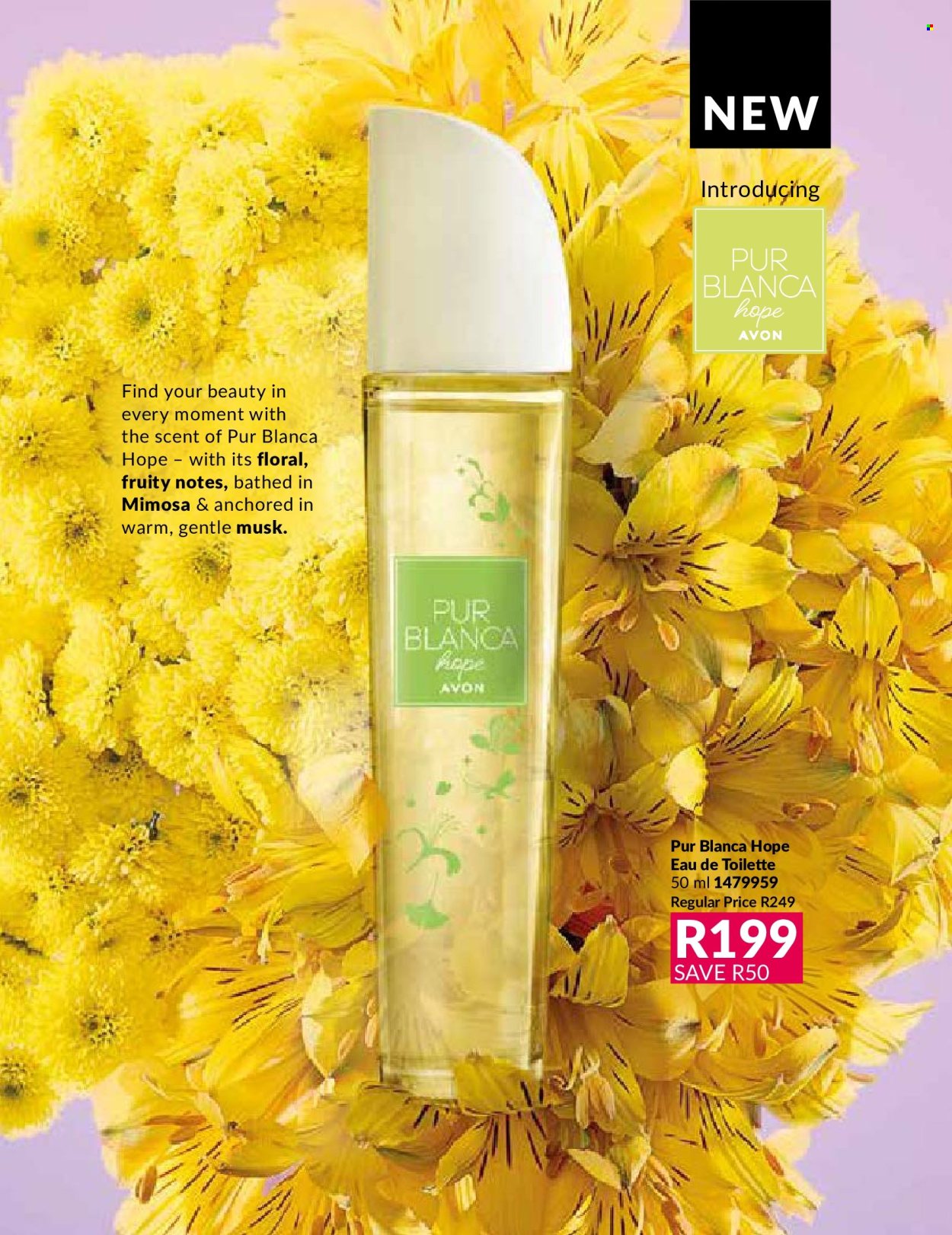 Avon specials - 01/08/2024 - 31/08/2024. Page 63