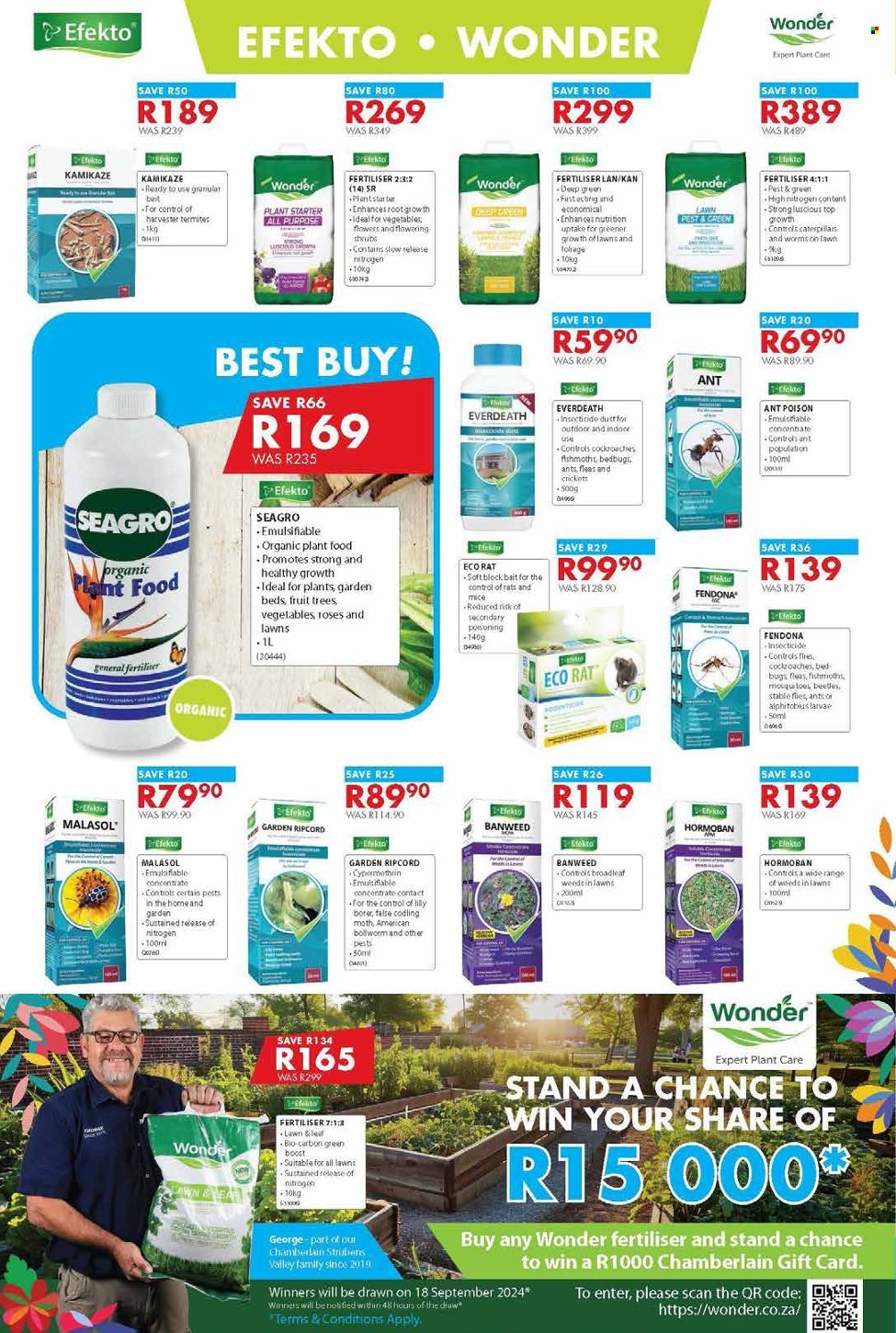Chamberlain specials - 15/08/2024 - 15/09/2024. Page 4