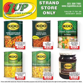 1UP Cash & Carry catalogue  - 07/08/2024 - 20/08/2024.