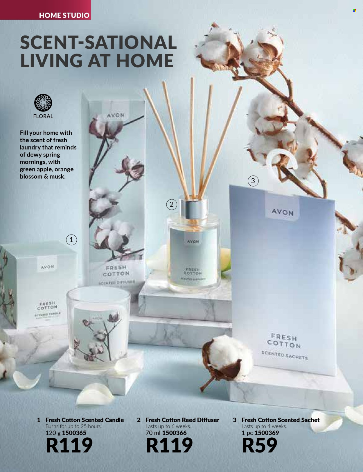 Avon specials - 01/09/2024 - 30/09/2024. Page 124
