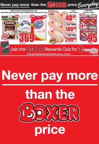 Boxer catalogue  - 24/10/2024 - 27/10/2024.