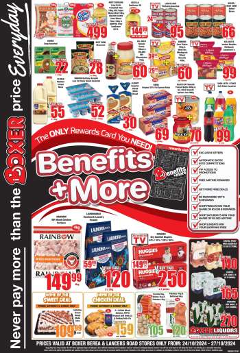 Boxer catalogue  - 24/10/2024 - 27/10/2024.