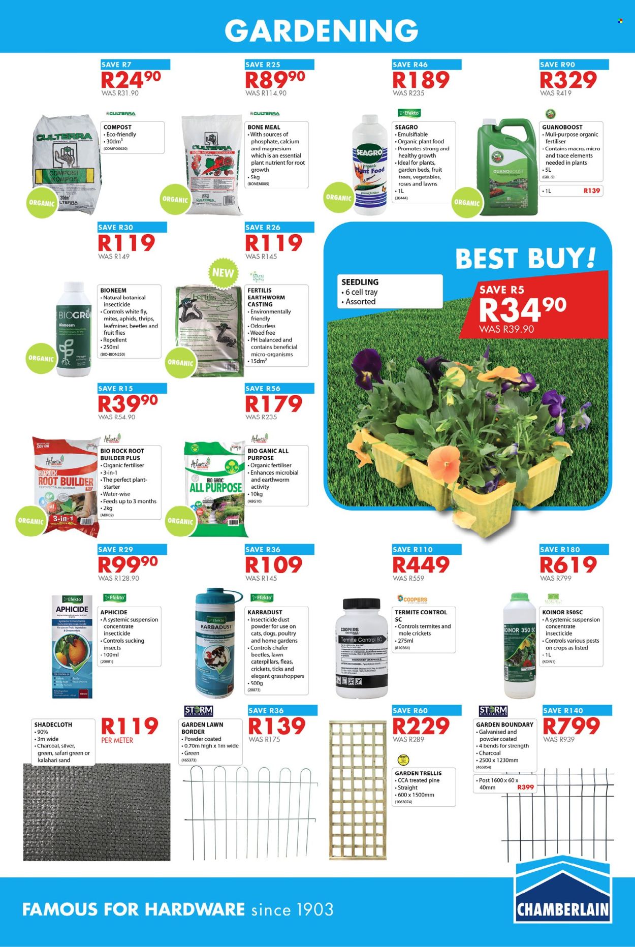 Chamberlain specials - 24/10/2024 - 10/11/2024. Page 7