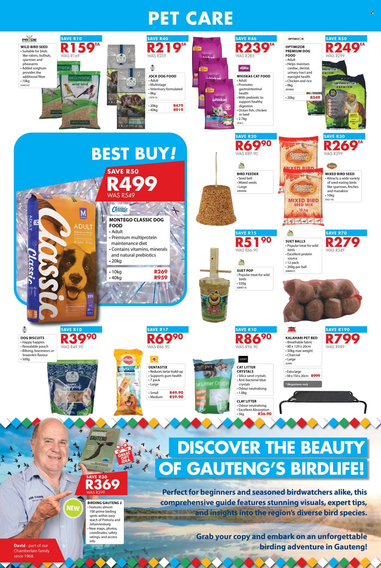 Chamberlain specials - 21/11/2024 - 05/01/2025. Page 2