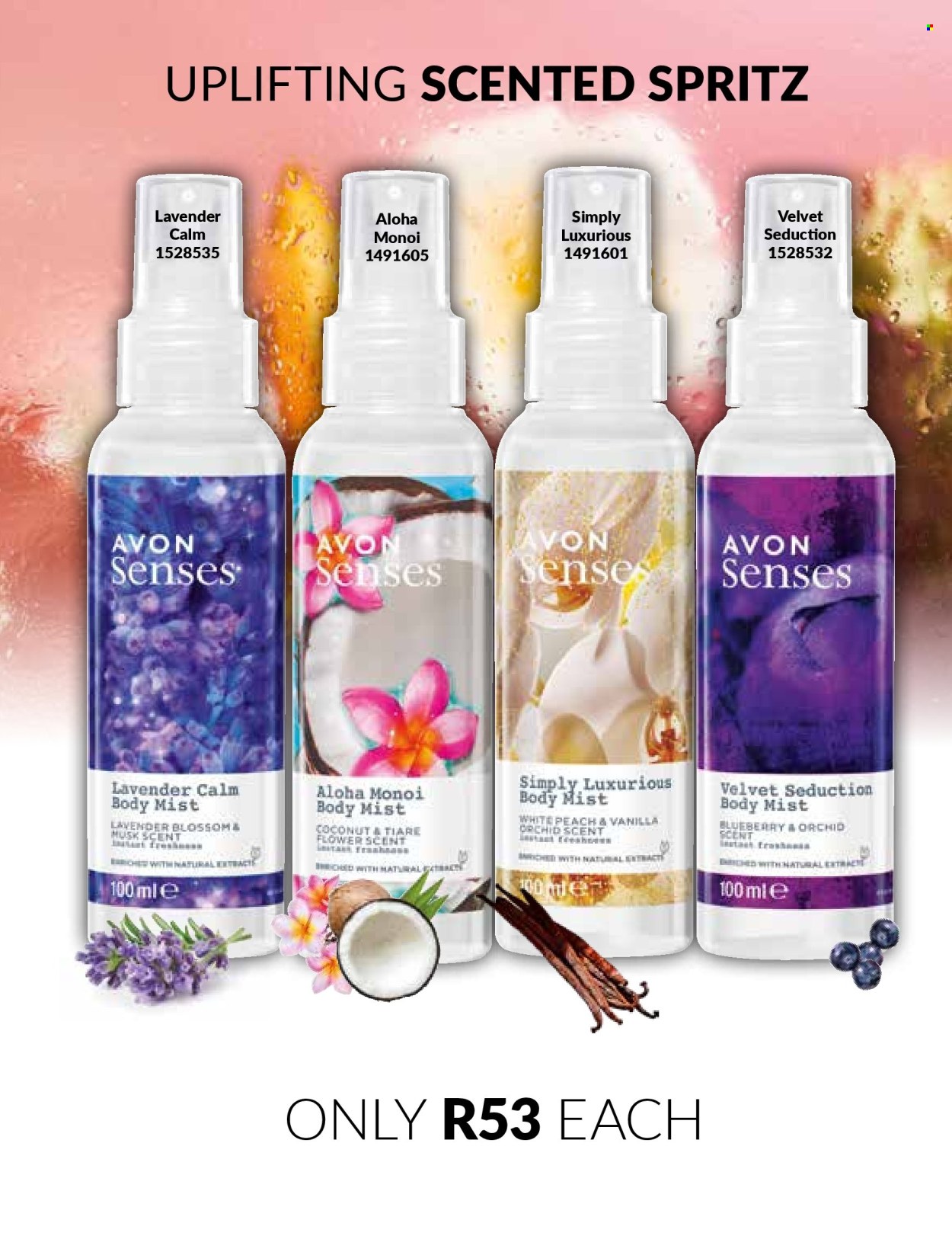 Avon specials - 01/12/2024 - 31/12/2024. Page 111