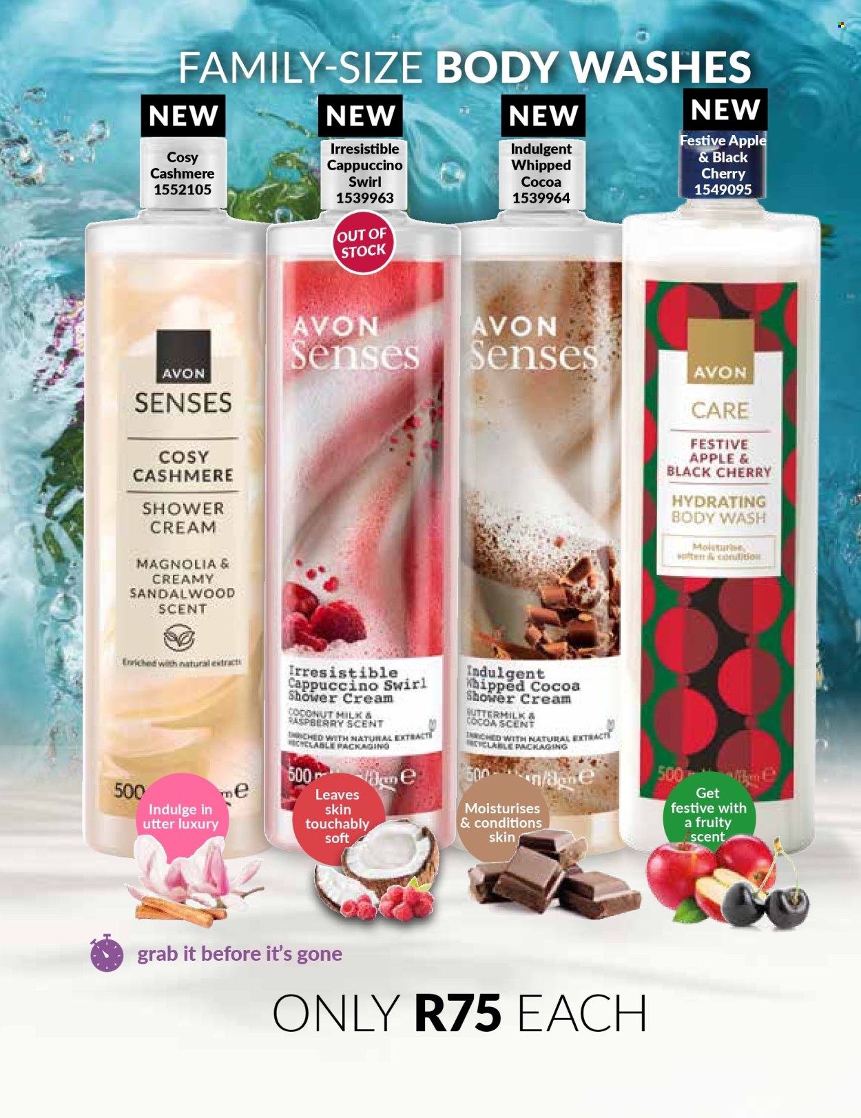 Avon specials - 01/12/2024 - 31/12/2024. Page 115