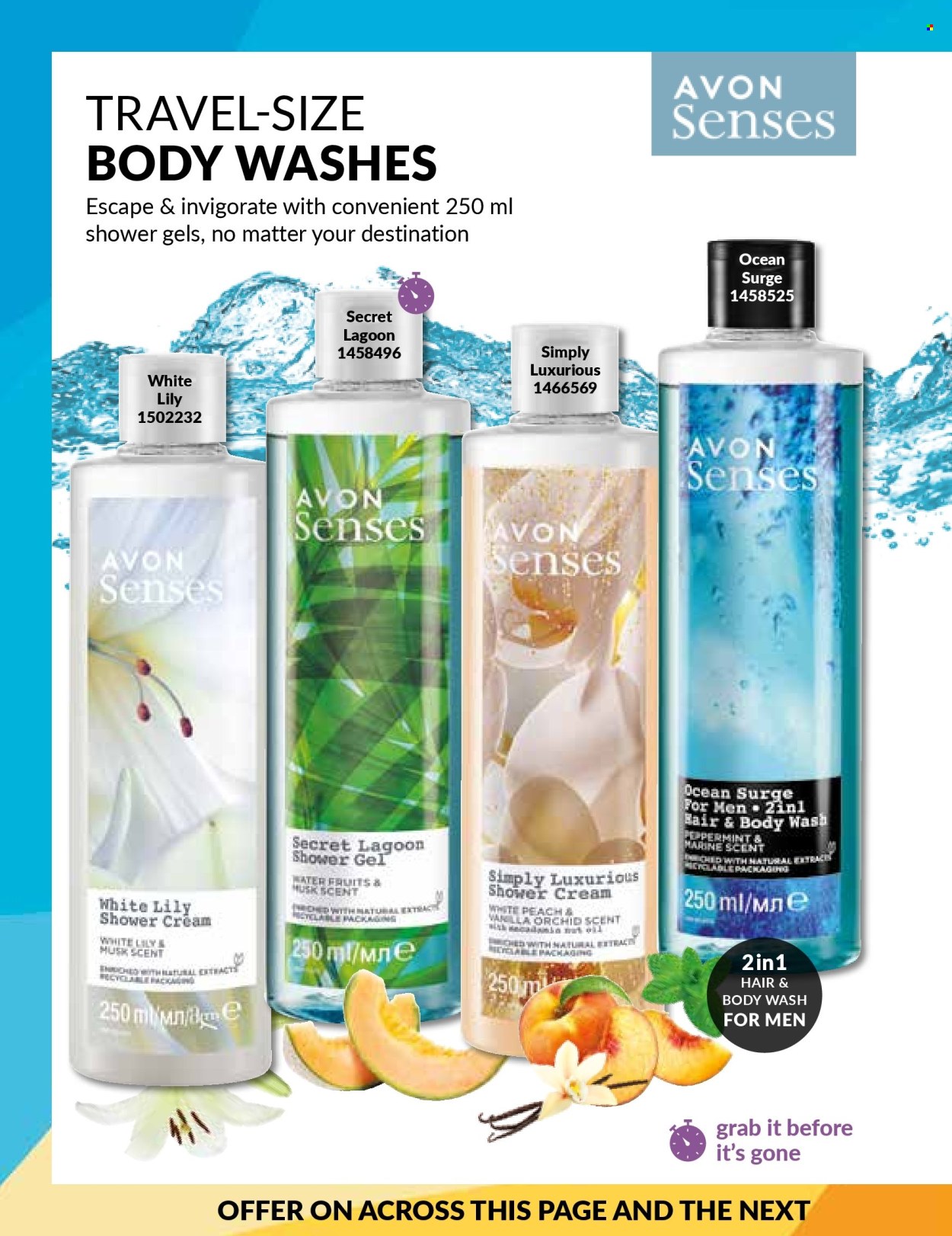 Avon specials - 01/12/2024 - 31/12/2024. Page 186
