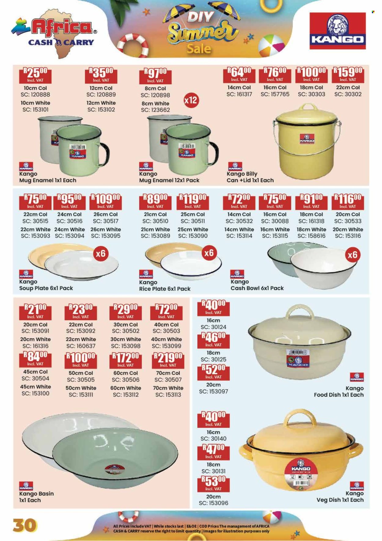 Africa Cash & Carry specials - 14/12/2024 - 31/01/2025. Page 30