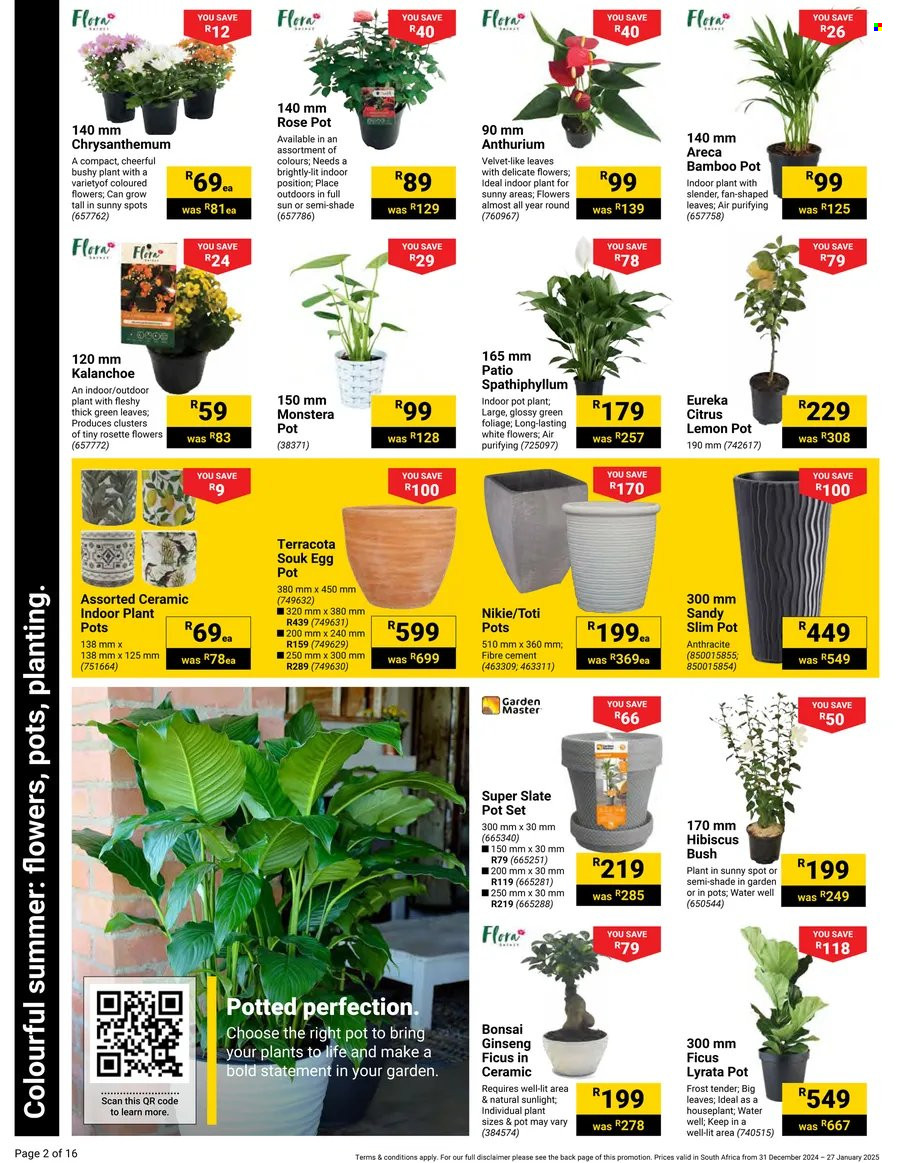 Builders specials - 31/12/2024 - 27/01/2025. Page 2