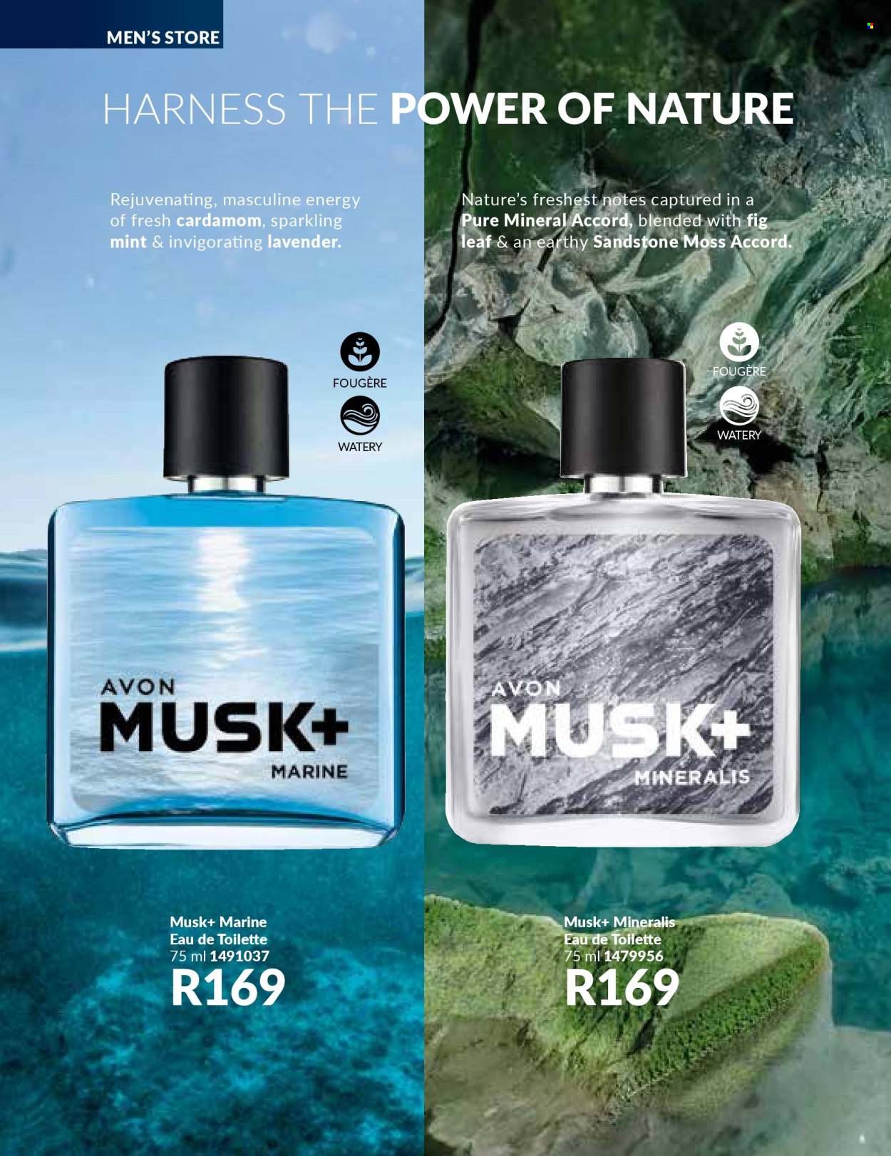 Avon specials - 01/01/2025 - 31/01/2025. Page 110