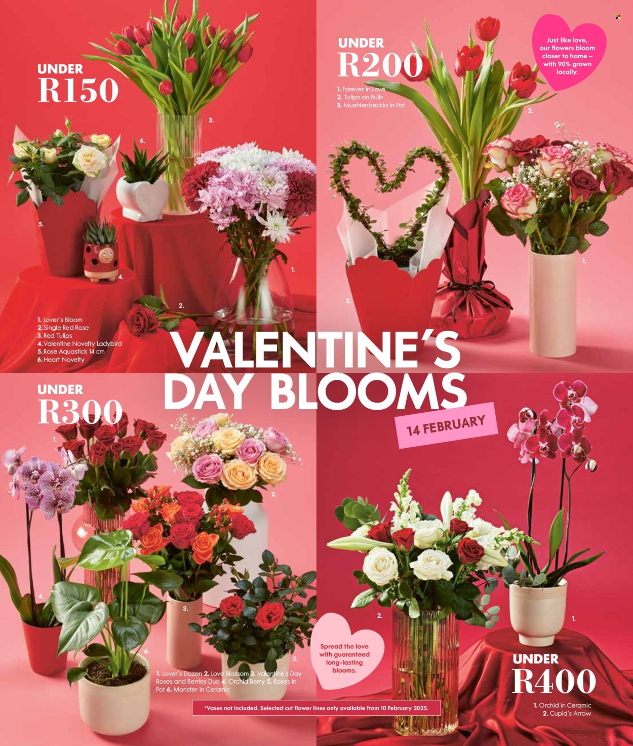 Woolworths specials - 03/02/2025 - 23/02/2025. Page 3