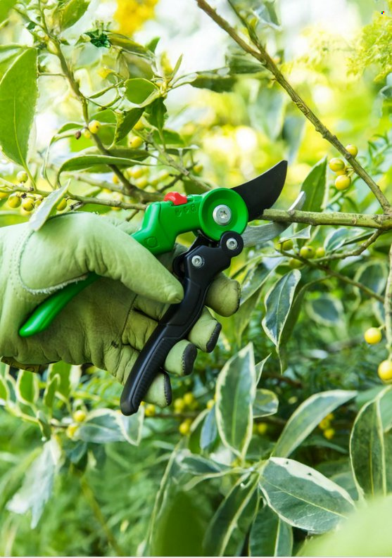 Leroy Merlin specials. Page 2