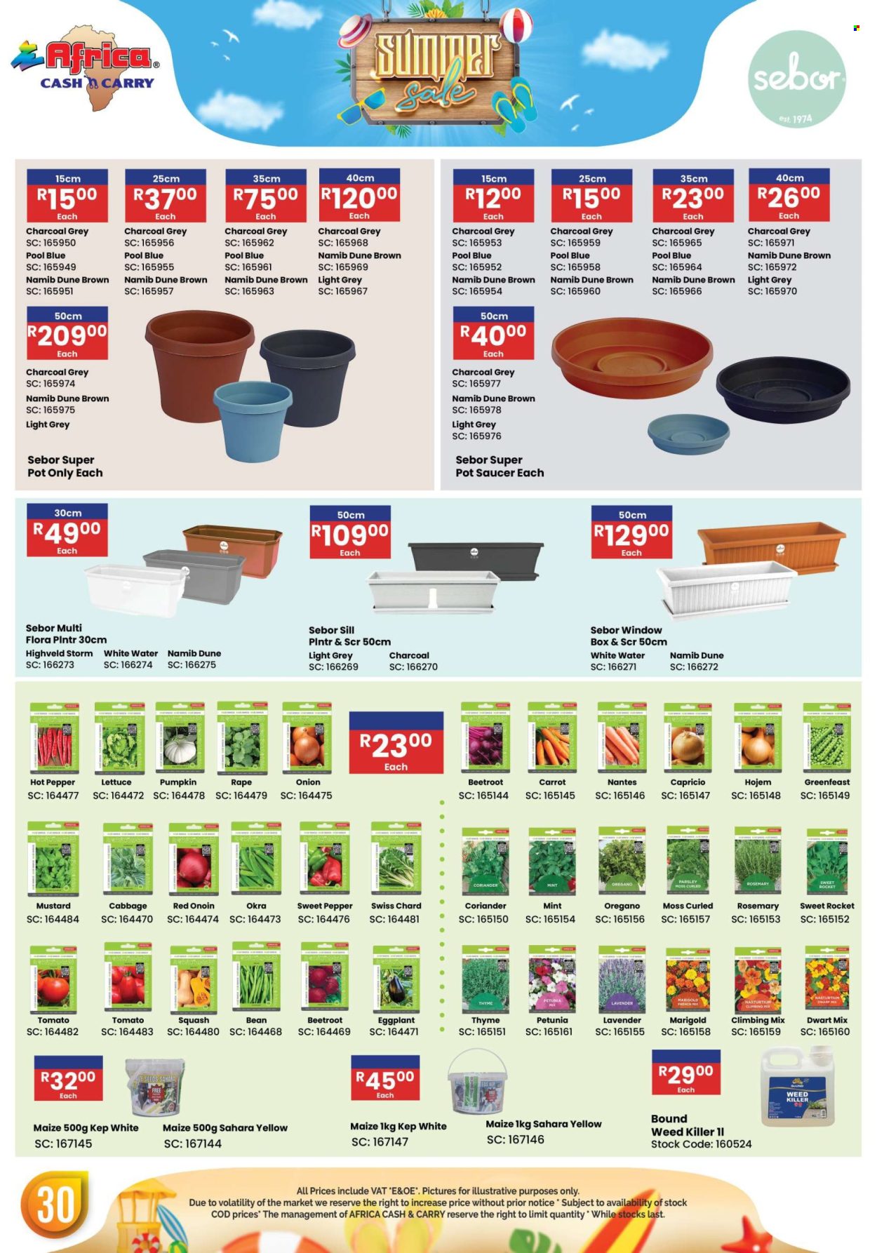 Africa Cash & Carry specials - 17/11/2025 - 31/01/2026. Page 30