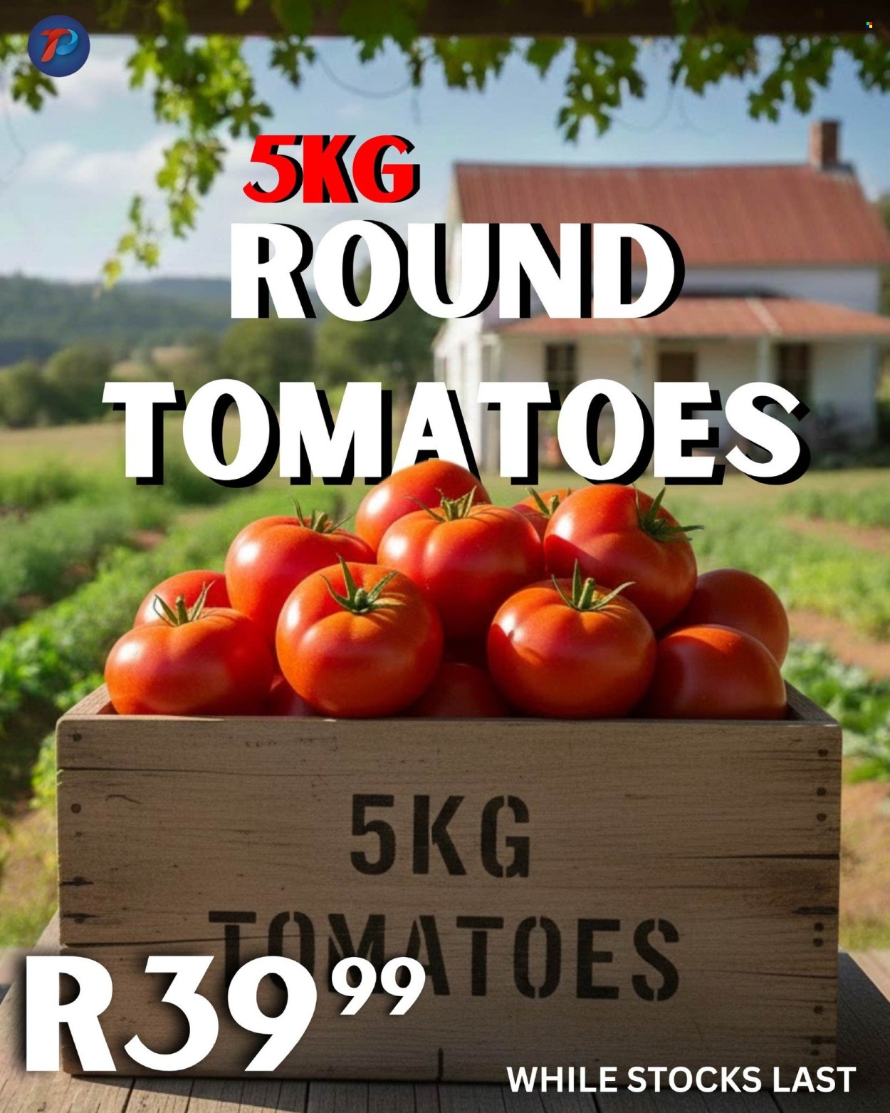 Take n Pay specials - 17/02/2026 - 19/02/2026. Page 14