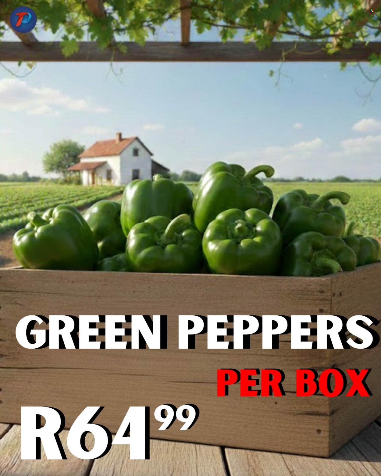 Take n Pay specials - 17/02/2026 - 19/02/2026. Page 18