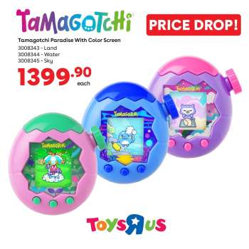 Toys R Us catalogue .