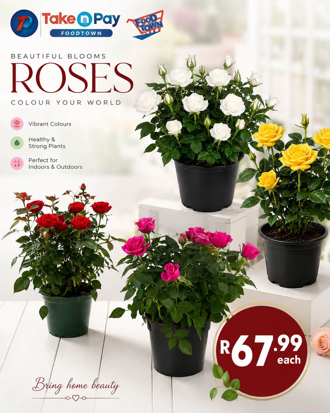 Take n Pay specials. Page 2