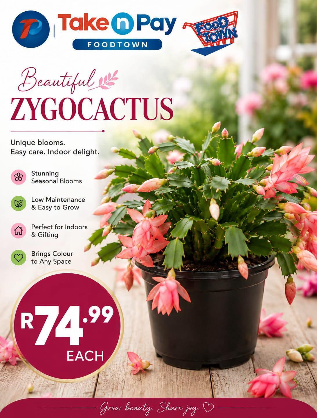 Take n Pay specials. Page 1