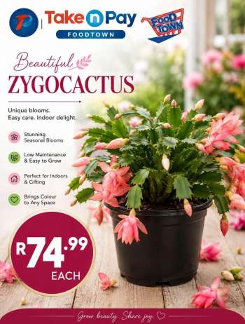 Take n Pay catalogue .
